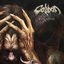 Cover Dear Suffering