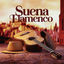 Cover Sueno Flamenco