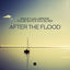 Cover After The Flood