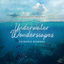 Cover Underwater Wonderscapes