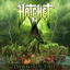 Cover Dawn of the End