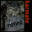 Cover Nayino