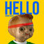 Cover Hello