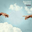 Cover Fanfare