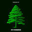 Cover My Evergreen