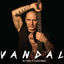 Cover Vandal