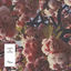 Cover Camino de Flores