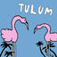 Cover Tulum