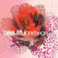 Cover Beautiful Garbage (20th Anniversary Edition)