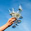 Cover Brindis