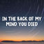 Cover In the Back of My Mind You Died