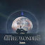 Cover Little Wonders