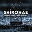 Cover Shirohae (The Rain Stops) [From "Naruto"]