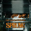 Cover Ich bin aufm Sprung