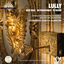 Cover Lully: Dies Irae, De Profundis, Te Deum