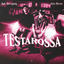 Cover Testarossa