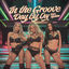 Cover In the Groove Day by Day