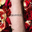 Cover Harieschaim