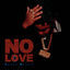 Cover No Love