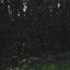 Cover fireflies