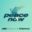 Cover Peace Now (Folamour Remix)