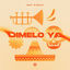 Cover Dimelo Ya