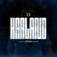 Cover Haaland