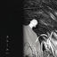 Cover Squall