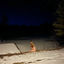 Cover From Where You Came