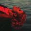 Cover Bloody Mind