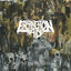 Cover To The Detested