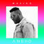 Cover Anexo