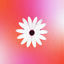 Cover Aimer