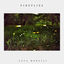 Cover Fireflies