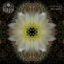 Cover La Huella Remixed