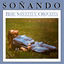 Cover Soñando