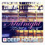 Cover Midnight Lounge, Vol. 40: Deep House Trip