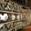 Cover Microkosmos
