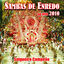Cover Sambas De Enredo Das Escolas De Samba - Carnaval 2010