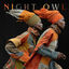 Cover Night Owl