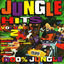 Cover Jungle Hits, Vol. 2