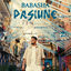 Cover Pasiune
