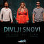 Cover Divlji Snovi