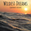 Cover Wildest Dreams (Saxophone Version)