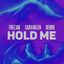 Cover Hold Me