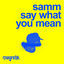 Cover Say What You Mean