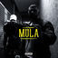Cover Mula
