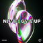 Cover Never Give Up (Techno Version)