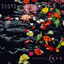 Cover Only Things We Love