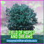 Cover Field of Hopes and Dreams